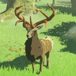 Hyrule-Compendium-Mountain-Buck.png