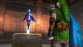 Fi with Link and the Goddess Sword in Hyrule Warriors