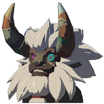 Lynel Mask - HWAoC icon.png