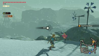 Found at the east side of the map, on the very high platform, just before fighting the Ice Moblin.