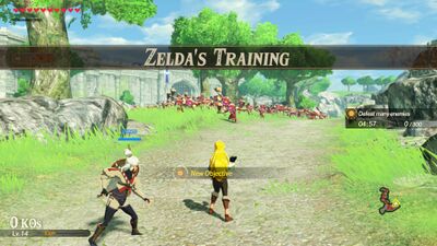 Zeldas-Training.jpg