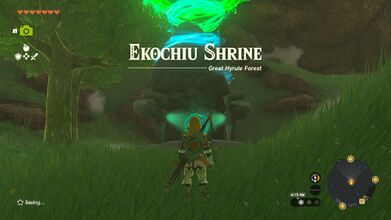 Link reaching the Shrine entrance