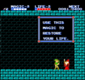 Link receives the Life Spell from the Wise Man in Saria