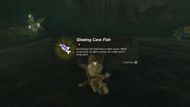 Link obtaining a Glowing Cave Fish in the pond