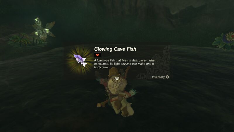 File:TotK Glowing Cave Fish.jpg