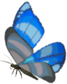 Winterwing Butterfly (Elixir only)