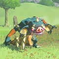 Breath of the Wild Hyrule Compendium picture of the Blue Bokoblin.