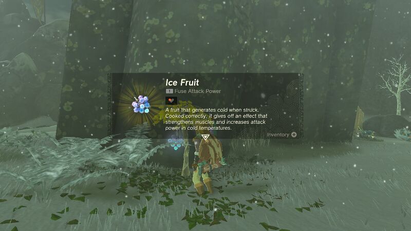 File:TotK Ice Fruit.jpg