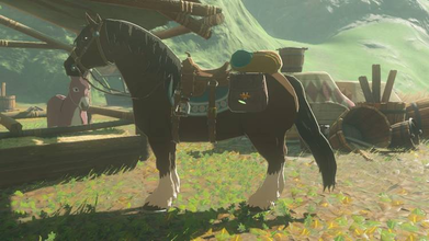 Link's Horse at a stable.