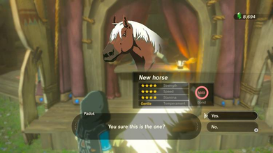 Statistics for Epona at a stable.