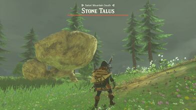 Fighting a Stone Talus (Luminous)
