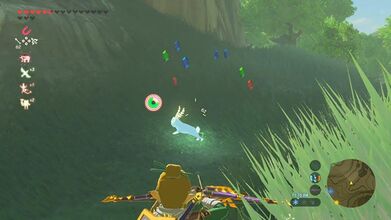 A Blupee fleeing upon being shot by Link; notice the Rupees shed