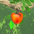 Hyrule Compendium image of the Apple
