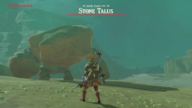 Fighting a Stone Talus (Luminous).