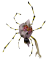 Swamp-Spider-House-Man-Cursed.png