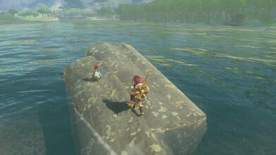 One Cucco is on the Zonai Ruins in the water