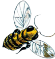 Golden Bee artwork from A Link to the Past