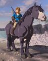 Link is riding an unregistered Horse in Breath of the Wild
