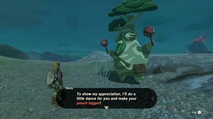 Hestu offering to upgrade a pouch