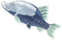 210: Frozen Cave Fish
