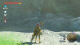 Link with two Temporary Hearts (and 27 permanent Heart Containers) in Breath of the Wild