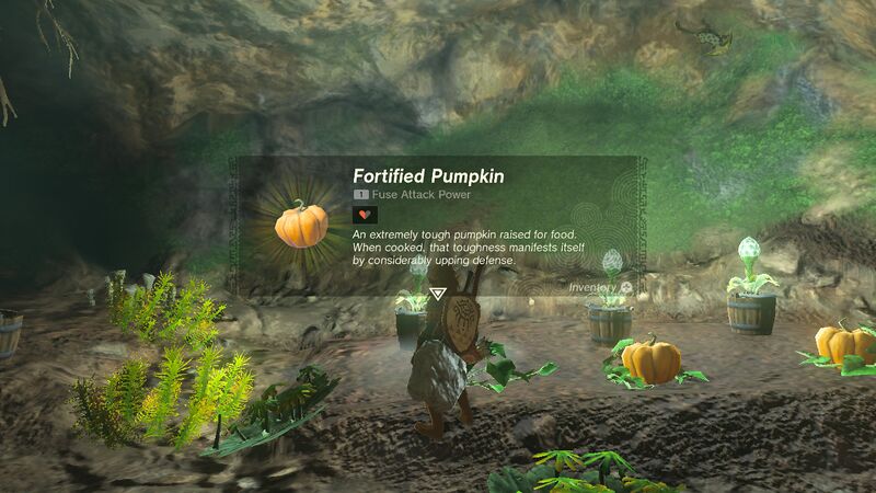 File:TotK Fortified Pumpkin.jpg
