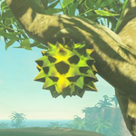 Hyrule-Compendium-Hearty-Durian.png