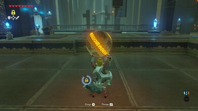 Lift the orb and bring it back near the back end of the shrine..