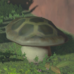 Ironshroom - TotK Compendium.png