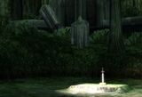Master Sword within the Sacred Grove in Twilight Princess
