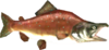 Reekfish.png
