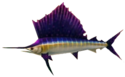 Grand-Swordfish.png