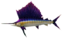 Grand Swordfish