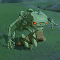 Breath of the Wild Hyrule Compendium picture of the Stalkoblin.