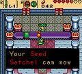 Acquire the Seed Satchel Upgrade