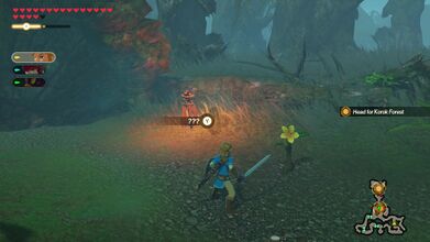 In the first half of the stage, after defeating a Stalmoblin and Fire Wizzrobe near the center of the map, travel east and then take the path south. Examine the yellow flower found here.