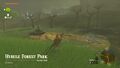 The Hyrule Forest Park in Tears of the Kingdom