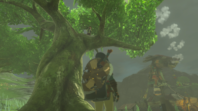 The Flute Player can be heard playing up in the tree, north of Highland Stable