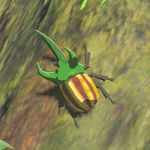 Hyrule-Compendium-Rugged-Rhino-Beetle.png