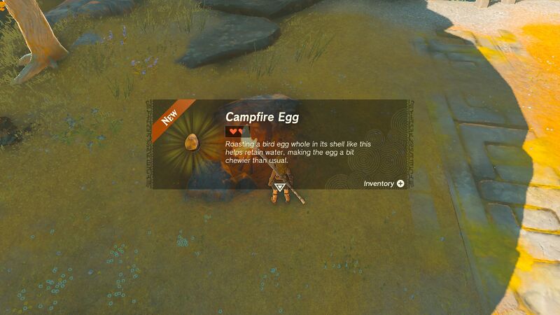 File:TotK Campfire Egg.jpg