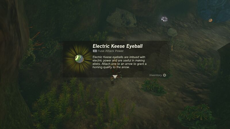 File:TotK Electric Keese Eyeball.jpg