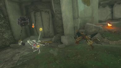 Depending on World Level, there may be stronger Black Bokoblin or Silver Bokoblin