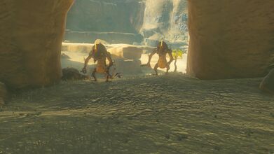 Speak with Botrick in the Stalry Plateau Cave and fight the two Fire-Breath Lizalfos