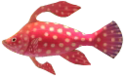 Fairy-Fish.png