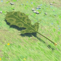 Breath of the Wild Hyrule Compendium picture of the Korok Leaf.