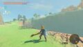 Link wielding a Captain III Reaper