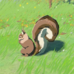 Bushy-Tailed Squirrel - TotK Compendium.png