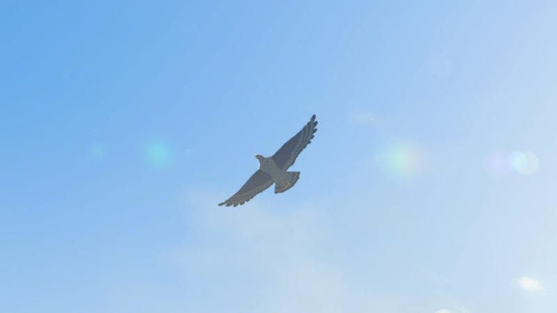 File:Islander Hawk - TotK Compendium Full.png