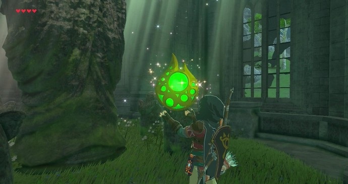 Breath of the Wild: Stamina - , The Video Games Wiki