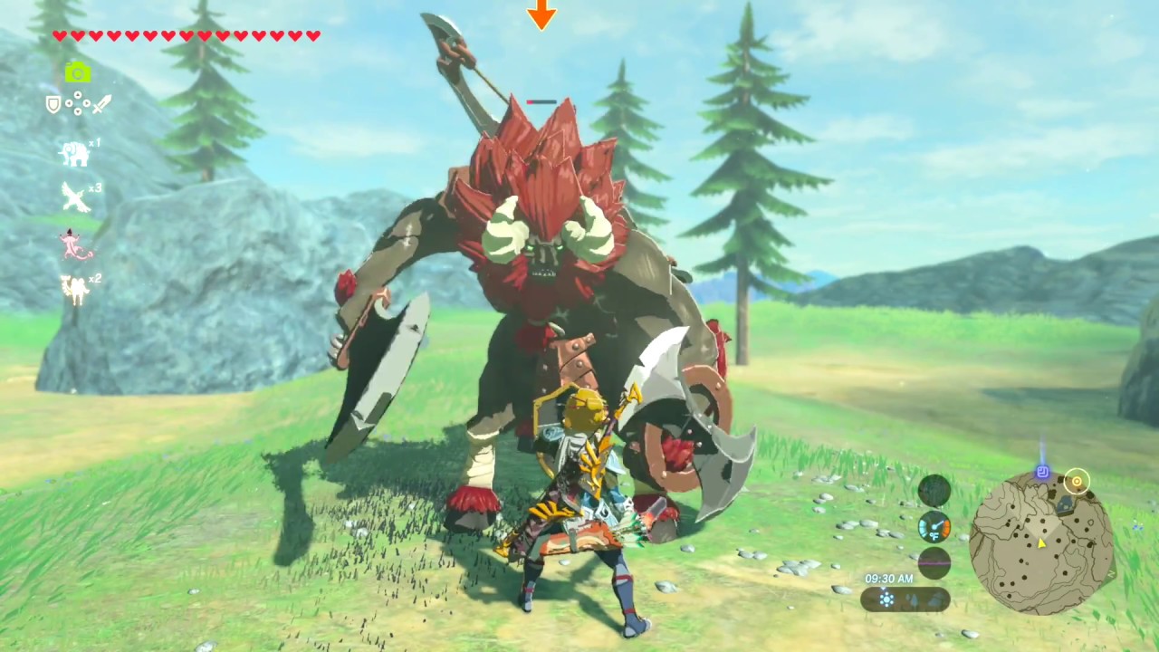 From Lynels, to Lizalfos, to Hinox, to Bokoblins, to Moblins... 